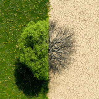 Why Wait for a Drought? Let’s Treat Water Like It Matters All…